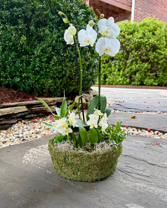 Living Garden